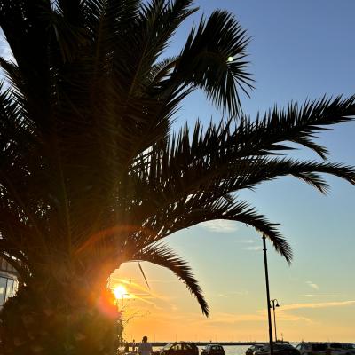 Whatsapp Bild 2024 08 25 Um 16.17.01 9ddd7cde