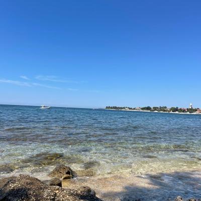 Whatsapp Bild 2024 08 25 Um 16.17.07 F1c484d3