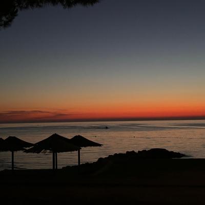 Whatsapp Bild 2024 08 25 Um 16.17.11 8c6de4b6