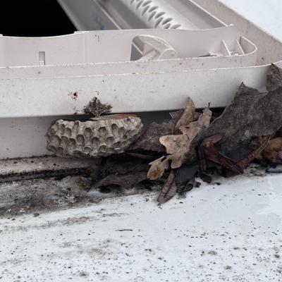 Xwf5figrsew1wdj6tmpbgq