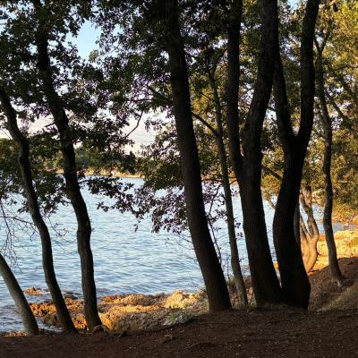 Whatsapp Bild 2025 09 11 Um 23.42.17 91a3ac98