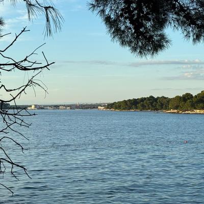 Whatsapp Bild 2025 09 11 Um 23.42.17 D7966892