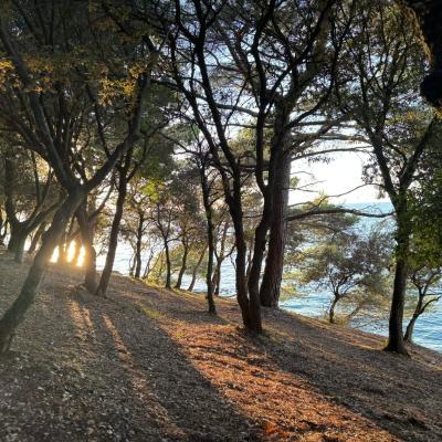 Whatsapp Bild 2025 09 11 Um 23.42.18 D77ca4b2