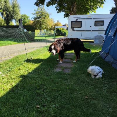 Itgjcuv0ruwe H8ql Tqmg