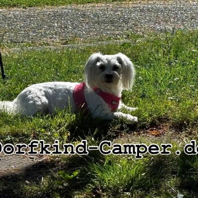 Whatsapp Bild 2025 06 03 Um 21.31.19 Fe847b71