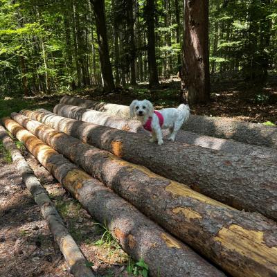 Whatsapp Bild 2025 06 03 Um 21.31.20 Fd5b2ef0