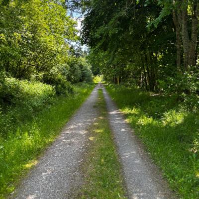 Whatsapp Bild 2025 06 03 Um 21.31.21 8d7fedf1